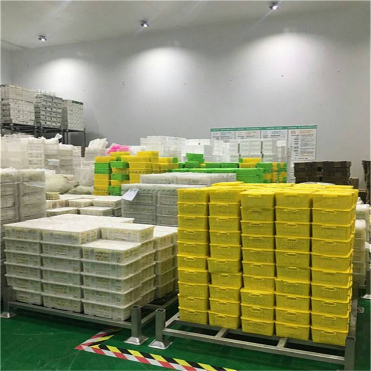 5000平米果蔬保鮮冷庫(kù) 打造農(nóng)產(chǎn)品優(yōu)質(zhì)保鮮鏈條，助力基地冷鏈升級(jí)